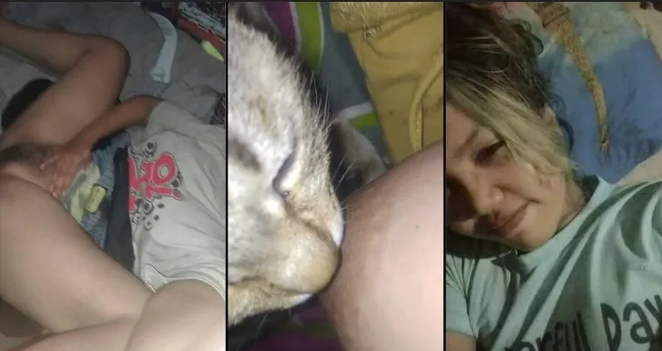 ပူစီလေးကို အမှန်အကန်ကျွေးတဲ့ ဆော်