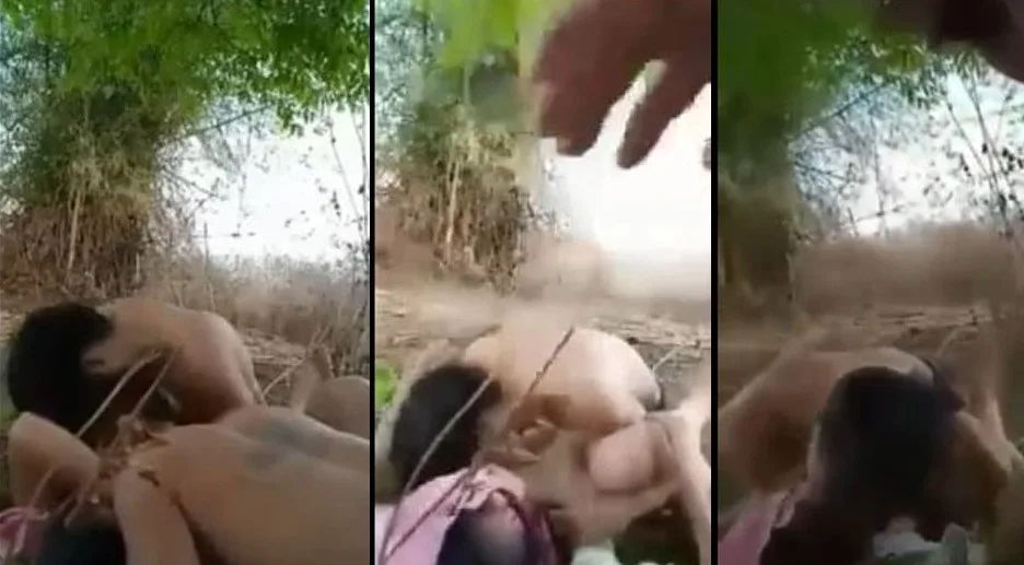 တောထဲလာ ပြီး သရီစမ်းကြ တဲ့ လူငယ်လေးတွေ