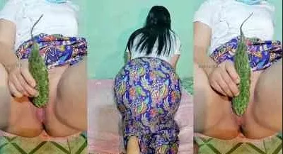 ကြက်ဟင်းခါးသီး ထိုးထည့် တဲ့ မြန်မာ မလေး