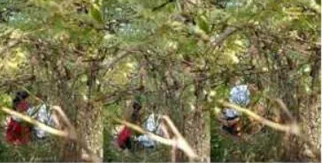 ခြုံတိုးတက်နေပီ ကျောင်းသူလေးတွေ လျော့မတွက်နဲ့