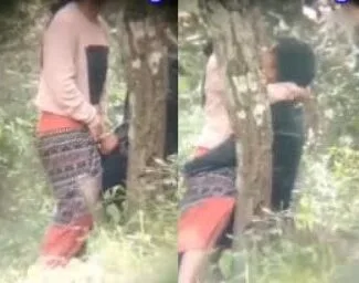 တက်ပြီးခွတာ ဆော်ကြီးကိုက ထန်တာ