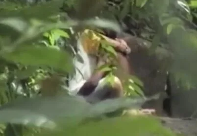 ရေမချိုးပဲ စမ်းချောင်းမှာ ခိုးစားတဲ့အတွဲ ချောင်းရိုက်အောကား