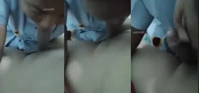 ဥပါစုပ်ပေးတဲ့ ဘဲကြီးက