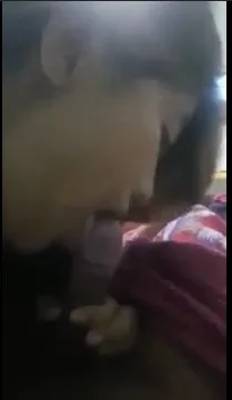 ဒစ်ကို သေချာပြောင်အောင် စုပ်ပေးတဲ့ မြန်မာမလေး