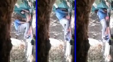 သစ်ပင်အောက်က အတွဲချောင်းရိုက်