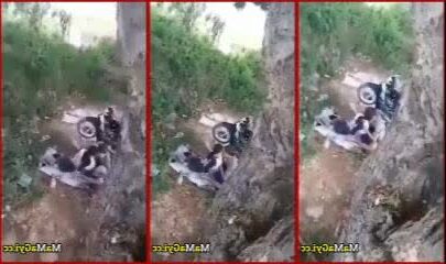 သစ်ပင်ပေါ်တက်ပြီး ချောင်းရိုက်မြန်မာအောကား