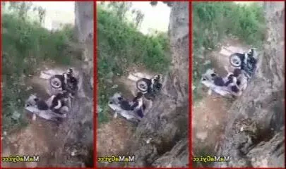 သစ်ပင်ပေါ်တက်ပြီး ချောင်းရိုက်မြန်မာအောကား