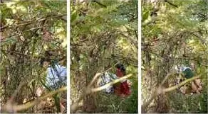 ကျောင်းက လစ်လာပြီး ခြုံထဲ ခေါ်တီးတဲ့ ချာတိတ်တို့အတွဲ