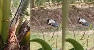 လမ်းဘေးနဲ့တင်ပီးတာ ရွာမှာဆိုဟော်တယ်မလိုဘူး