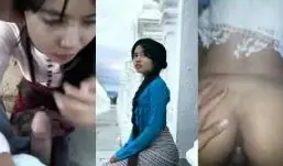 မန်းသူ ညိုကိတ်‌လေး